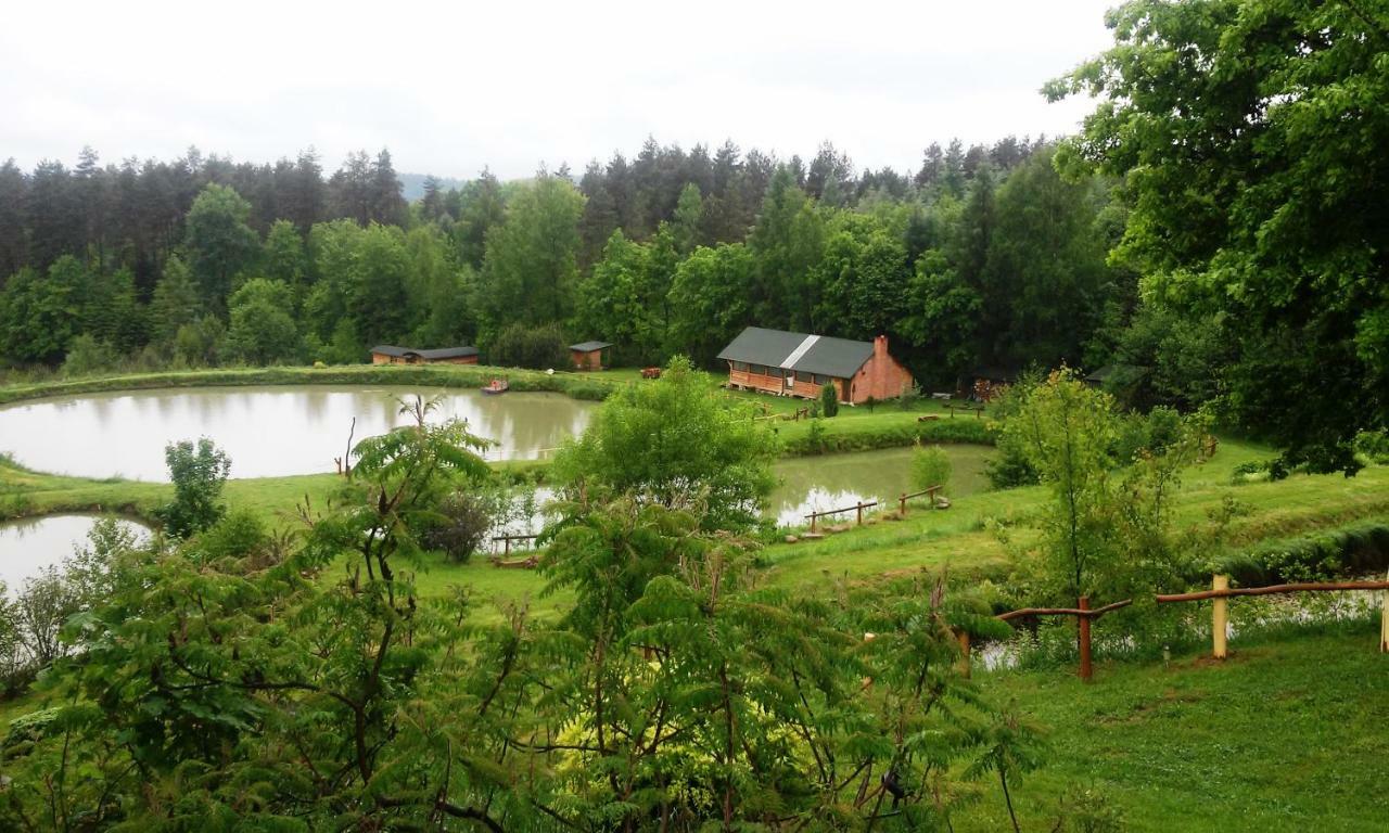 Dolina 4 Stawow Villa Krzywcza Esterno foto